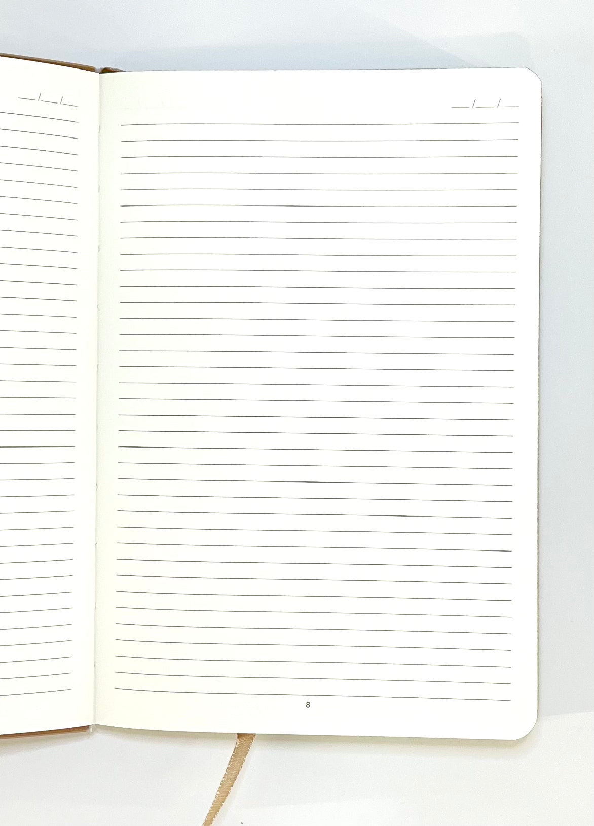 Daily Journal