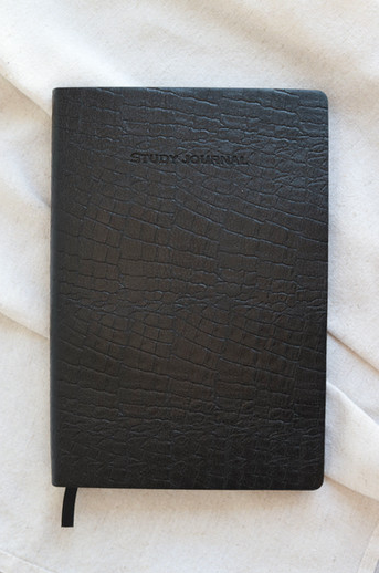 Study Journal
